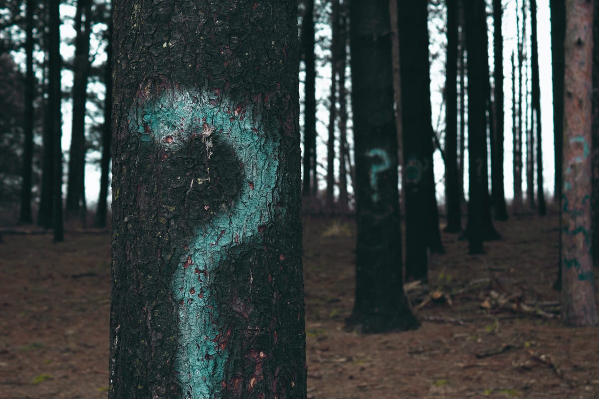 The power of questions in cultivation