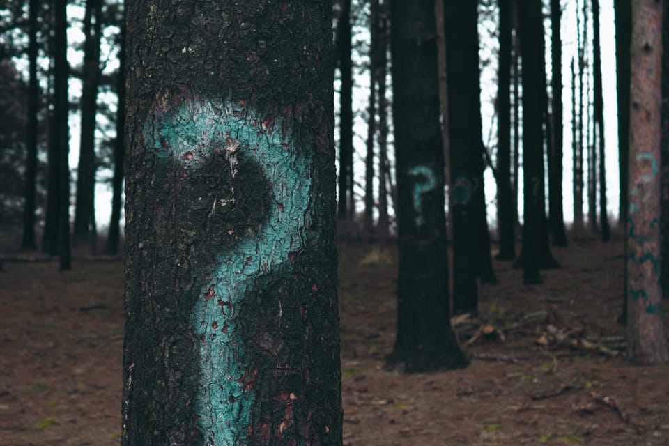 The power of questions in cultivation