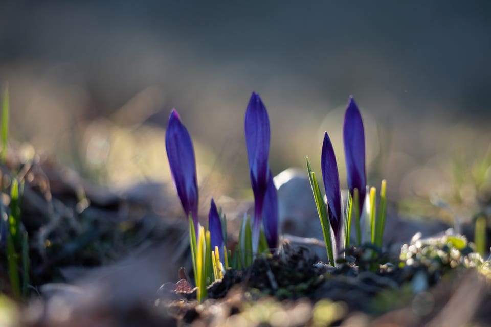 Spotting & nurturing potential as a way of life