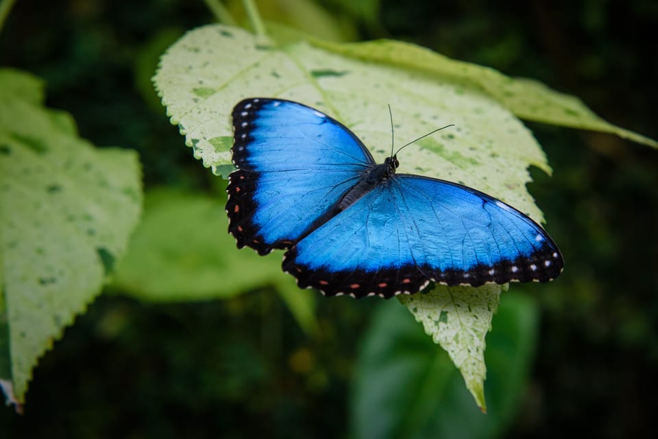 How to spot & nurture potential in others